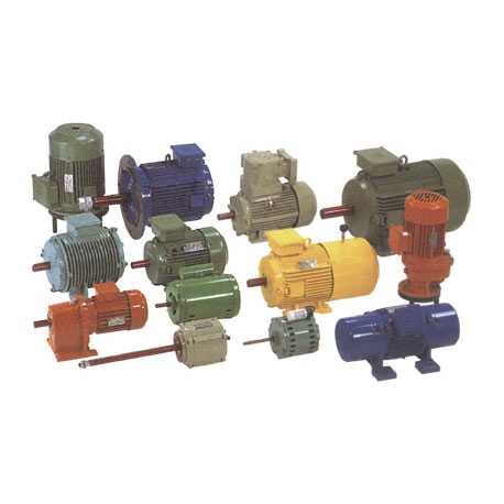 0.33 HP,6 Pole,1000 RPM HINDUSTAN Flameproof standard Motors