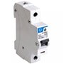 L&T, SINGLE POLE, 80A, MINIATURE CIRCUIT BREAKER