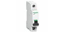 SCHNEIDER, 1 Pole, 40A, xC60 B-CURVE AC MCB