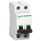 SCHNEIDER, 2 Pole, 40A, xC60 B-CURVE AC MCB