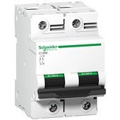 Schneider, 2 Pole, 125A, C120N AC MCB