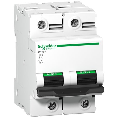 Schneider, 2 Pole, 125A, C120N AC MCB