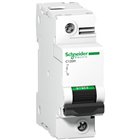 SCHNEIDER, 1 Pole, 100A, C120H C-CURVE MCB