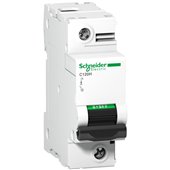 Schneider, 1 Pole, 100A, C120H AC MCB