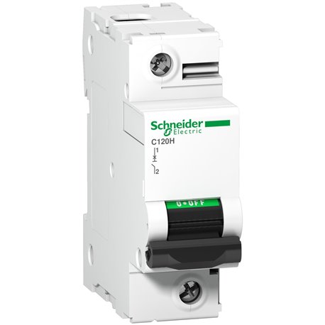 Schneider, 1 Pole, 125A, C120H AC MCB