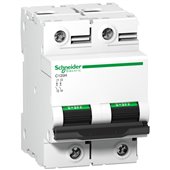 Schneider, 2 Pole, 100A, C120H AC MCB