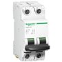 Schneider, 2 Pole, 1A, C60H DC MCB