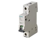 SIEMENS, 1 Pole, 50A, Betagard 5SL6 B-CURVE MCB