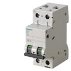 SIEMENS, 2 Pole, 20A, Betagard 5SL6 B-CURVE MCB