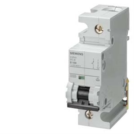 SIEMENS, 1 Pole 80A Betagard 5SP4 MCB