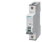 SIEMENS, 1 Pole, 80A, Betagard 5SY4 C-CURVE MCB