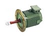 1.5 HP 8 POLE 750 RPM HINDUSTAN Flameproof Cooling tower Induction Motor