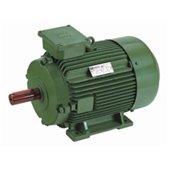 0.33/0.33 HP 4/2 POLE HINDUSTAN Two Speed Induction Motor