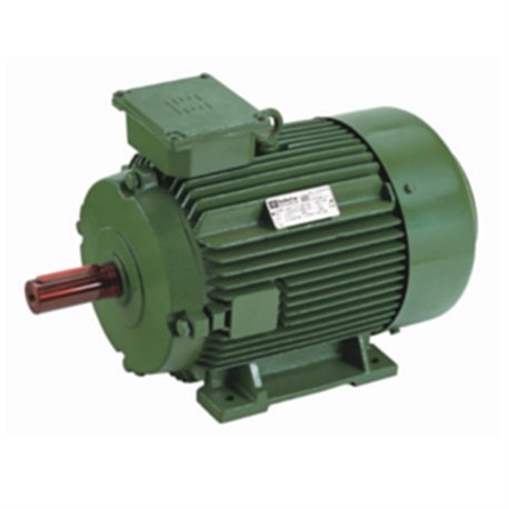 0.33/0.33 HP 4/2 POLE HINDUSTAN Two Speed Induction Motor