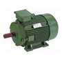 0.33/0.33 HP 4/2 POLE HINDUSTAN Two Speed Induction Motor