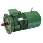 HINDUSTAN, 25HP, 6 Pole, 1000 RPM, CRANE DUTY INDUCTION MOTOR