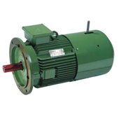 25 HP 6 POLE 1000 RPM HINDUSTAN Crane Duty Induction Motor