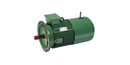 HINDUSTAN, 25HP, 6 Pole, 1000 RPM, CRANE DUTY INDUCTION MOTOR