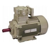 0.125/0.16 HP 4/2 POLE HINDUSTAN Flameproof Two Speed Induction Motor