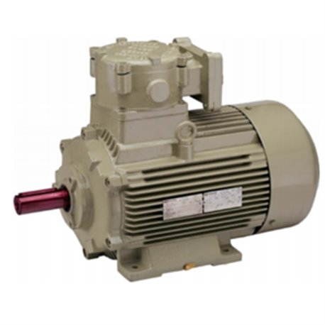 0.125/0.16 HP 4/2 POLE HINDUSTAN Flameproof Two Speed Induction Motor