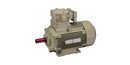 HINDUSTAN, 0.125/0.16HP, 4/2 Pole, FLAMEPROOF TWO SPEED INDUCTION MOTOR