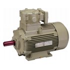 HINDUSTAN, 1/1.5HP, 4/2 Pole, FLAMEPROOF TWO SPEED INDUCTION MOTOR