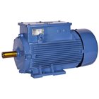 BHARAT BIJLEE, 5.3HP, 6 Pole, 1000 RPM, CRANE DUTY SLIP RING MOTOR