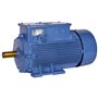 BHARAT BIJLEE, 5.3HP, 6 Pole, 3 Phase, 1000 RPM, CRANE DUTY SLIP RING MOTOR