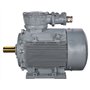 BHARAT BIJLEE, 0.75HP, 2 Pole, 3 Phase, 3000 RPM, Foot Mounted Flame Proof INDUCTION MOTOR