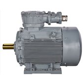 BHARAT BIJLEE, 0.75HP, 2 Pole, 3 Phase, 3000 RPM, Foot Mounted Flame Proof INDUCTION MOTOR