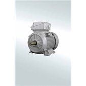 SIEMENS, 0.75 HP 2 POLE 3000 RPM SIMOTICS IE2 Induction Motor