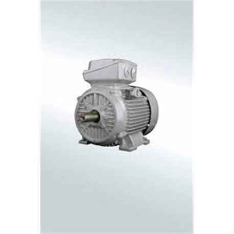 SIEMENS, 0.75 HP 2 POLE 3000 RPM SIMOTICS IE2 Induction Motor