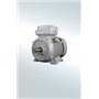 SIEMENS, 0.75 HP 2 POLE 3000 RPM SIMOTICS IE2 Induction Motor