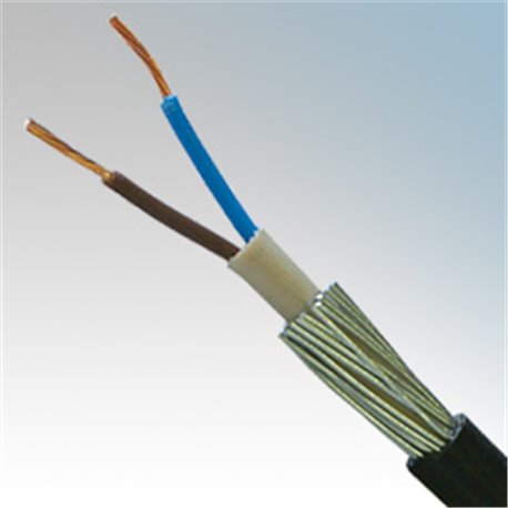 POLYCAB 2CX 1.5 sq.mm. LT ARMOURED CU CABLE