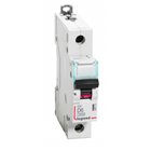 Legrand, 1 Pole, 6A, D-CURVE, DX³ MCB