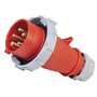 PNP, 16A, 415V, IP67, Straight Plug