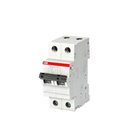 ABB, 2 Pole, 32A, SB202 M-B, B-CURVE MCB