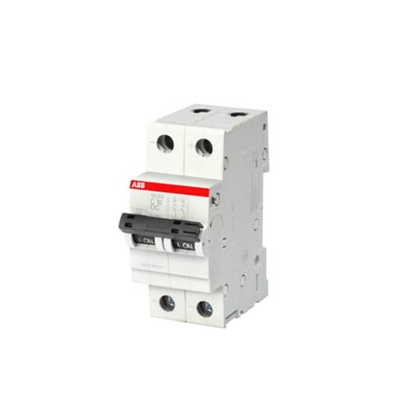 ABB, 2 Pole, 6A, SB202 DC, C-CURVE MCB