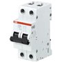 ABB, 2 Pole, 100A, S202 C-CURVE MCB