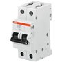 ABB, 2 Pole, 10A, S202M-D, C-CURVE MCB