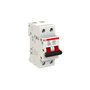 ABB, 2 Pole, 100A, E202/100r ISOLATOR