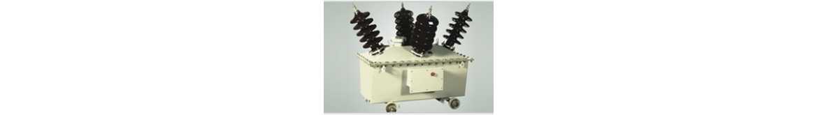 RESIDUAL VOLTAGE TRANSFORMER (RVT)